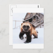 彫刻ウルベリン ポストカード (正面/裏面)