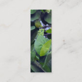 彫刻的葉 スキニー名刺 (裏面)