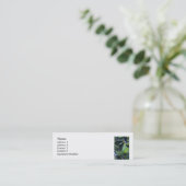 彫刻的葉 スキニー名刺 (スタンド正面)