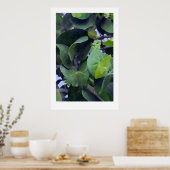 彫刻的葉 ポスター (キッチン)