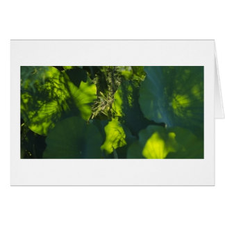 影およびライト