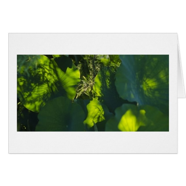 影およびライト (正面横)