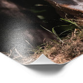 影からのスマイルのフォックス フォトプリント            (角)