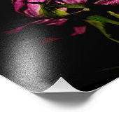 影から裏返す フォトプリント            (角)