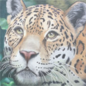 影から シール (正面)