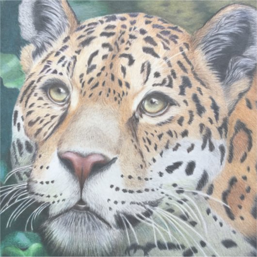 影から シール (正面)