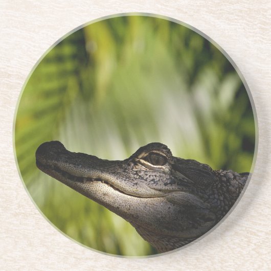 影があるわにコースター コースター (正面)