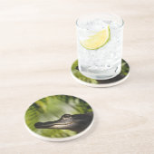 影があるわにコースター コースター (側面)