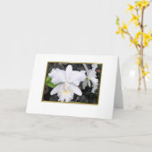 影がある庭のブランクのぱりっとした白い蘭 カード (黄色い花)