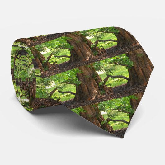 影がある木 ネクタイ (ロール)