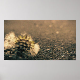 影が薄い ポスター