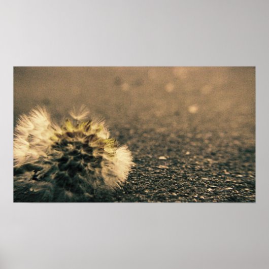 影が薄い ポスター (正面)