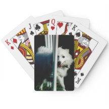 影でアメリカにエスキモーに(Eskie)編むこと