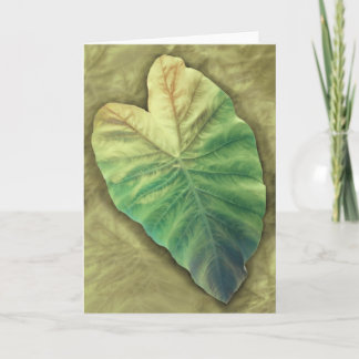 影で覆われた葉 カード