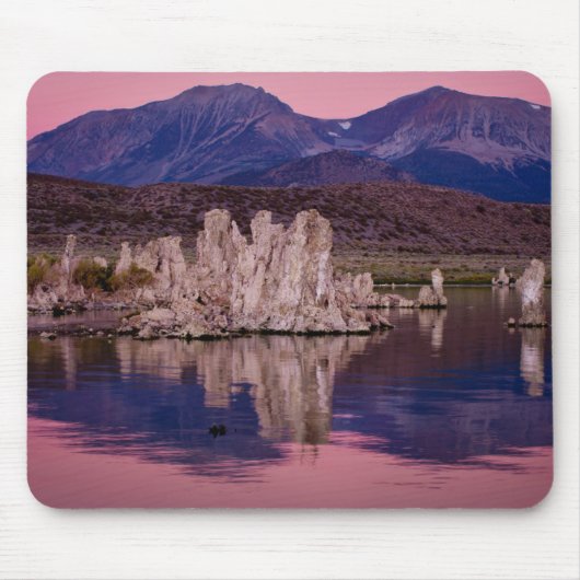 影の中の壮大なモノの湖 マウスパッド (正面)