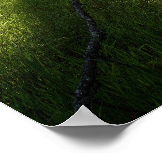 「影の森」 ポスター (角)