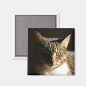 影の猫 マグネット (正面/裏面)