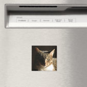 影の猫 マグネット (インサイチュ (食洗機))