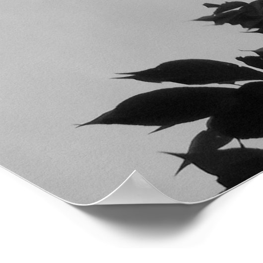 影の葉数 ポスター (角)