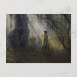 影の間 | Fairytars ポストカード