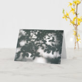 影パターン カード (黄色い花)