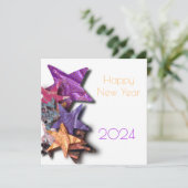 影数々の付き輝くの色の星 – 新年 (スタンド正面)