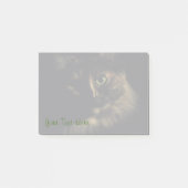 影猫の芸術の写真撮影の緑の瞳の子猫 ポストイット (正面)