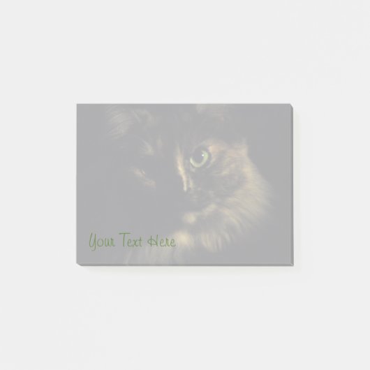 影猫の芸術の写真撮影の緑の瞳の子猫 ポストイット (正面)