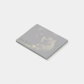 影猫の芸術の写真撮影の緑の瞳の子猫 ポストイット (アングル)