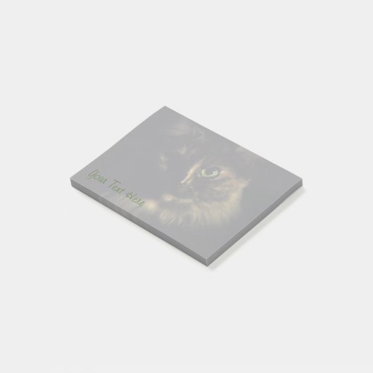 影猫の芸術の写真撮影の緑の瞳の子猫 ポストイット (アングル)