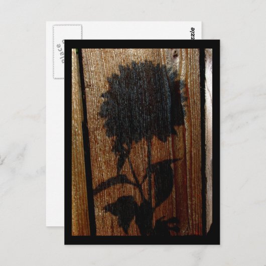 影 ポストカード (正面/裏面)