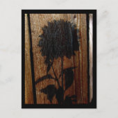 影 ポストカード (正面)