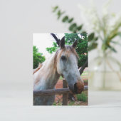 影 ポストカード (スタンド正面)