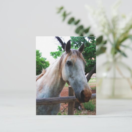 影 ポストカード (スタンド正面)