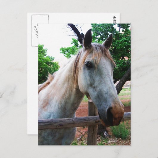 影 ポストカード (正面/裏面)