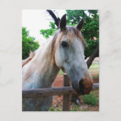 影 ポストカード (正面)