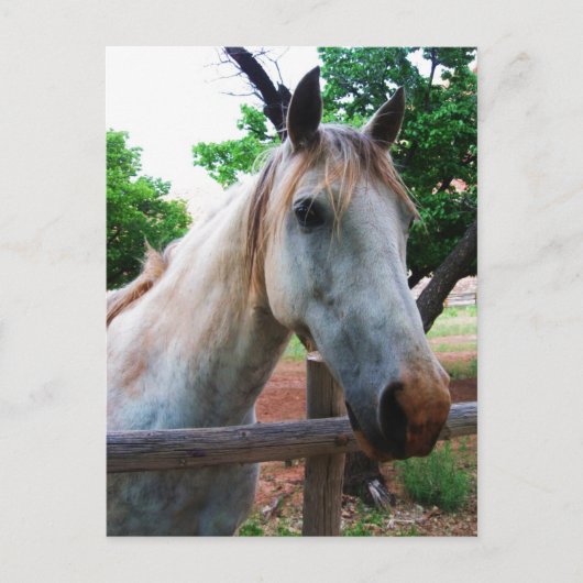 影 ポストカード (正面)