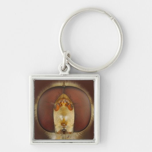 彷徨いのはえのヘッドおよび混合目 キーホルダー (正面)