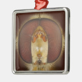 彷徨いのはえのヘッドおよび混合目 メタルオーナメント (左)