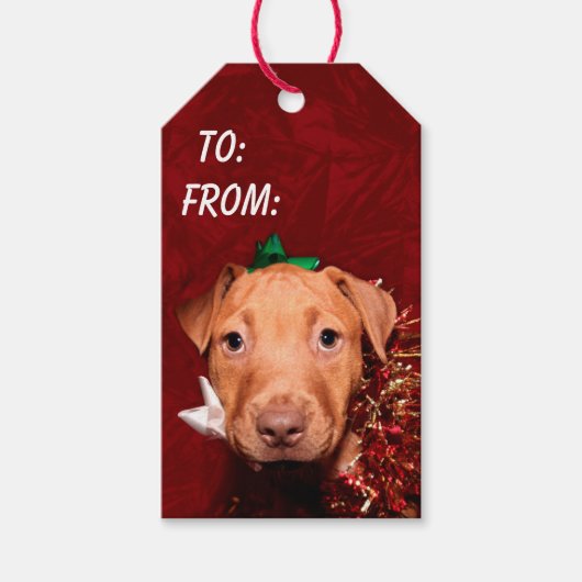 役立つ子犬のクリスマス ギフトタグ (正面)