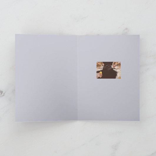 彼がコーンカードを持ち出した カード (内部)