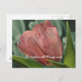 彼が全てのことを新しい聖書の聖句にする ポストカード (正面/裏面)