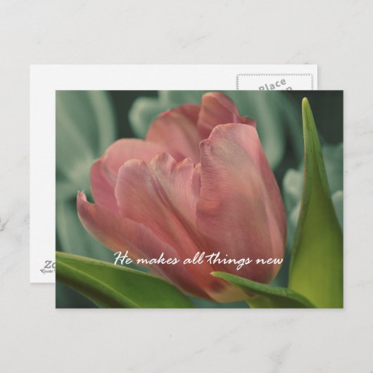 彼が全てのことを新しい聖書の聖句にする ポストカード (正面/裏面)