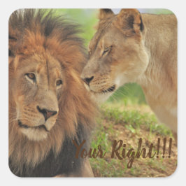 彼が正しいと知っているなら スクエアシール