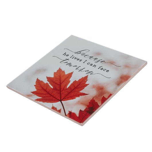 彼が生きているから私は明日顔できる感動的 タイル (側面)