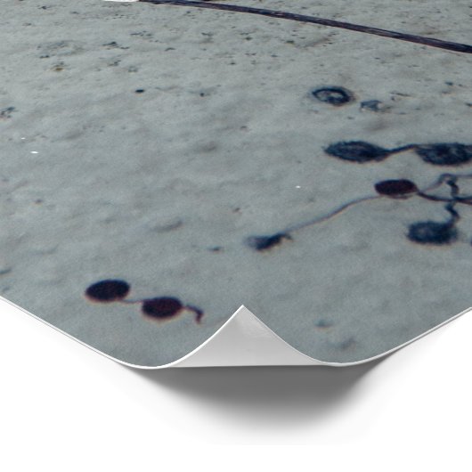 彼のための愛の引用文-タイポグラフィポスター ポスター (角)