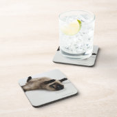 彼のにあっているヒマラヤ猫 コースター (右側)