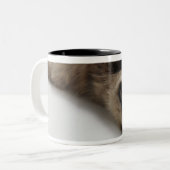 彼のにあっているヒマラヤ猫 ツートーンマグカップ (正面左)