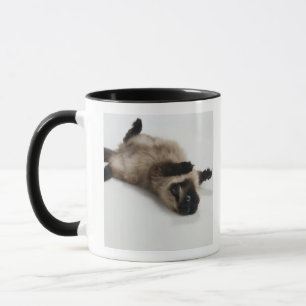 彼のにあっているヒマラヤ猫 マグカップ