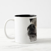 彼ののチワワの広角閉鎖した注目します ツートーンマグカップ (左)
